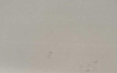 南斯拉夫白