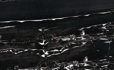 银白龙